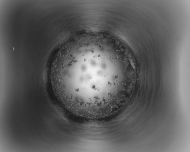 X0000088700738200706141430