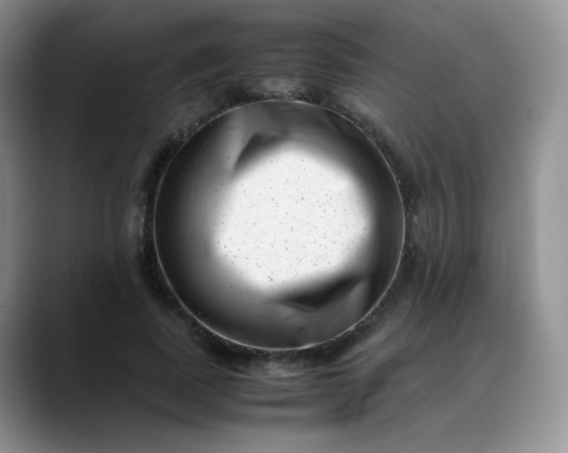 X0000088700739200706141430