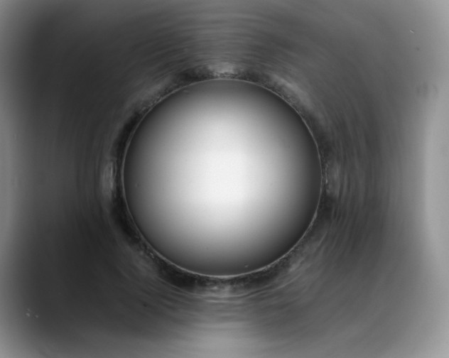 X0000088700740200706141430