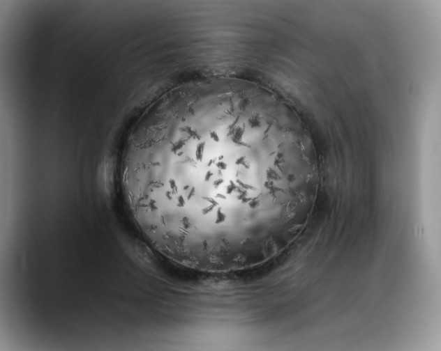X0000088700742200706141430