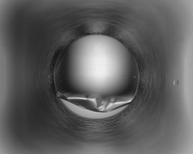 X0000088700743200706141430