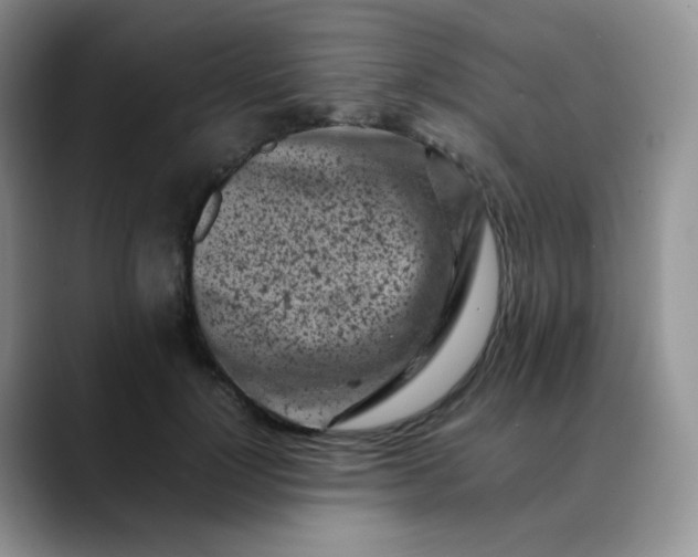 X0000088700748200706141430