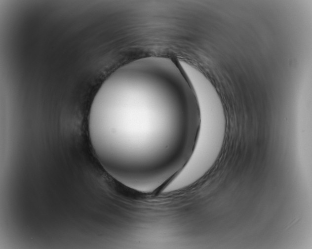 X0000088700750200706141430