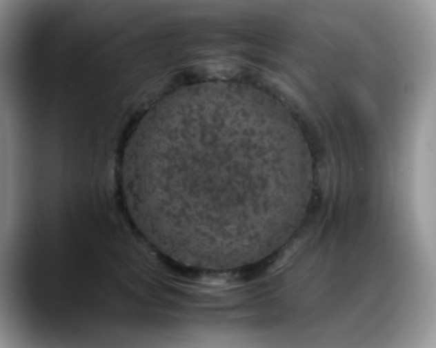 X0000088700757200706141430