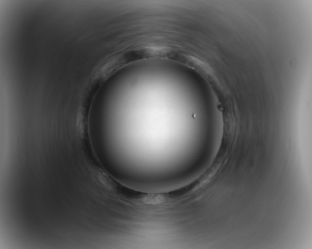 X0000088700762200706141430