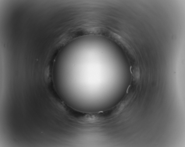 X0000088700764200706141430