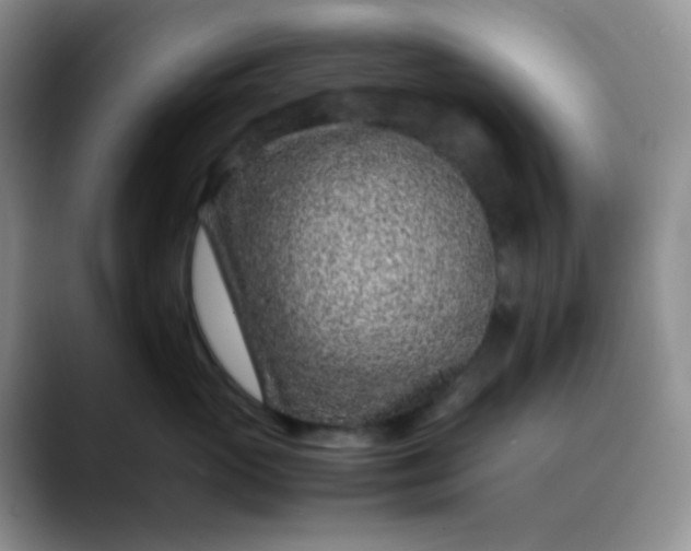 X0000088700765200706141430