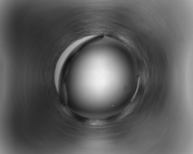X0000088700766200706141430