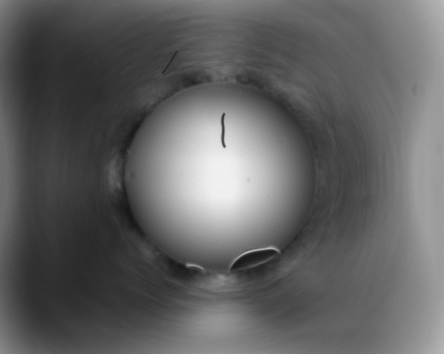X0000088700768200706141430