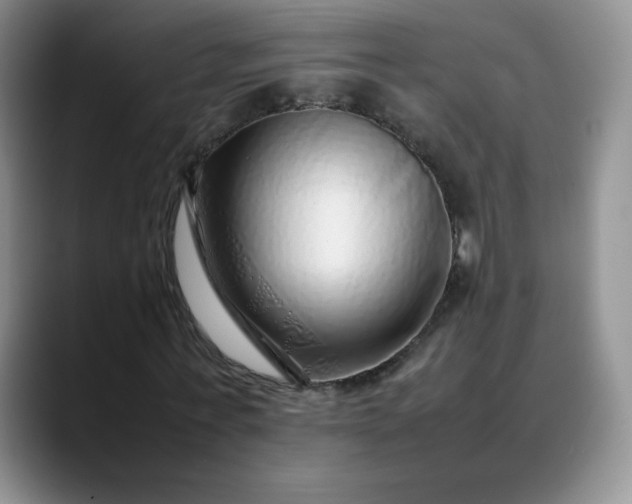 X0000088700771200706141429