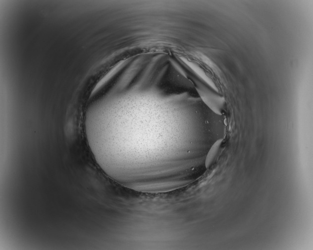 X0000088700775200706141429