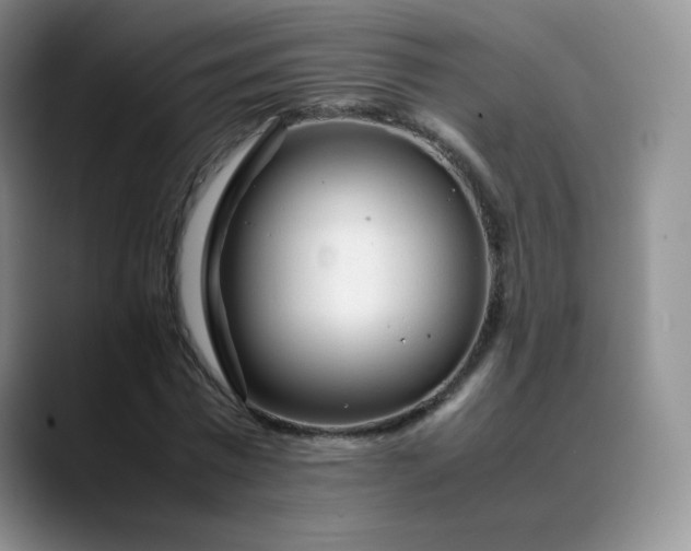 X0000088700777200706141429