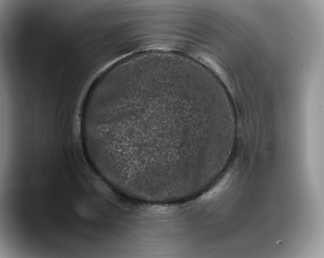 X0000088700779200706141429