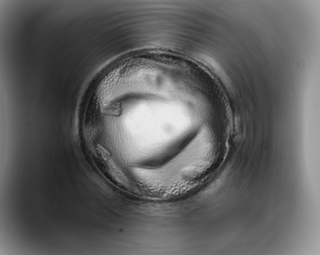 X0000088700780200706141429