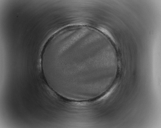 X0000088700781200706141429