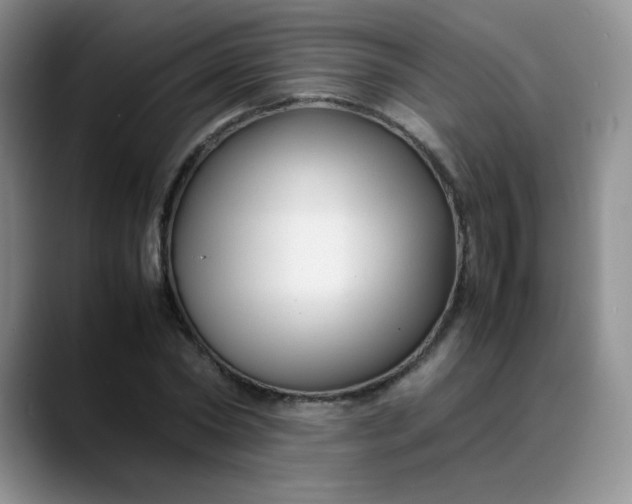 X0000088700782200706141429