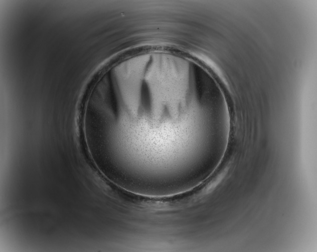 X0000088700783200706141429