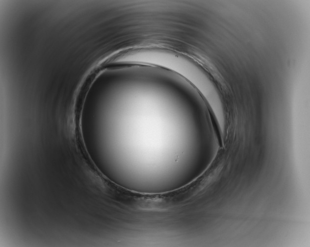X0000088700784200706141429