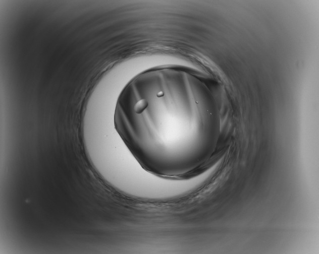 X0000088700785200706141429