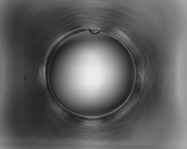 X0000088700788200706141429