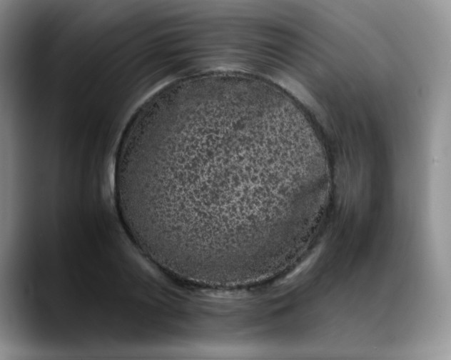 X0000088700790200706141429