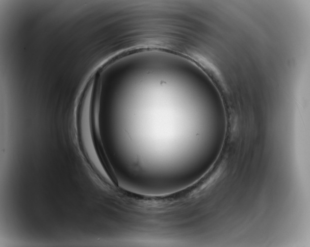 X0000088700792200706141429
