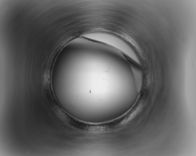 X0000088700793200706141429