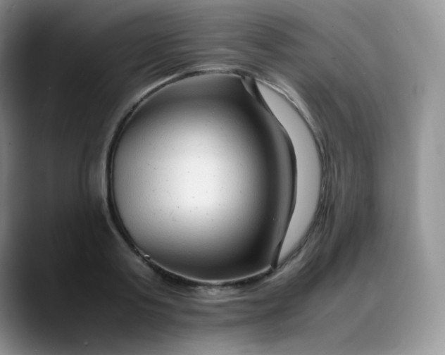 X0000088700795200706141429