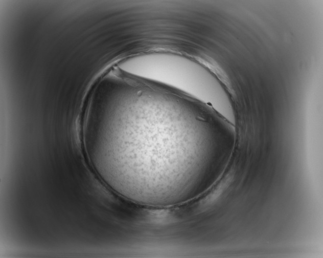 X0000088700798200706141429
