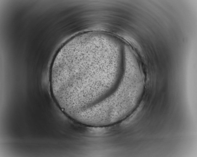 X0000088700800200706141429