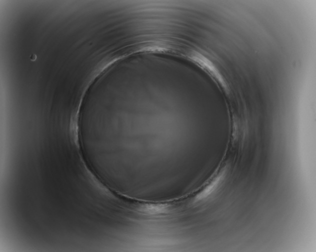 X0000088700802200706141429