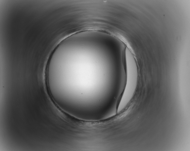 X0000088700803200706141429