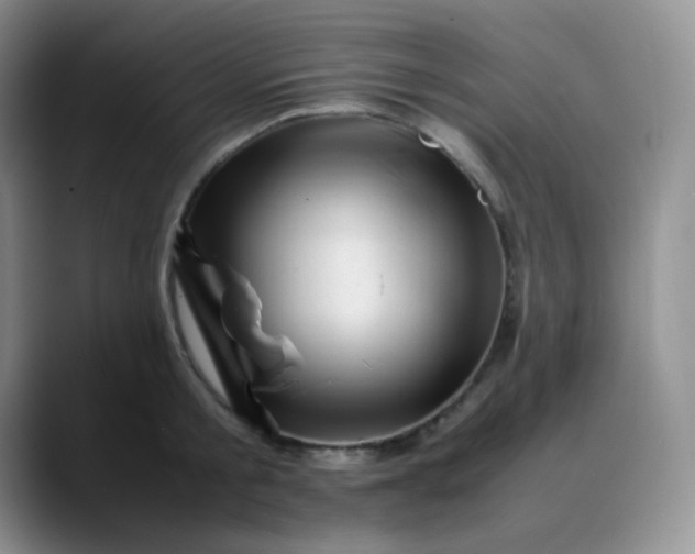 X0000088700805200706141429