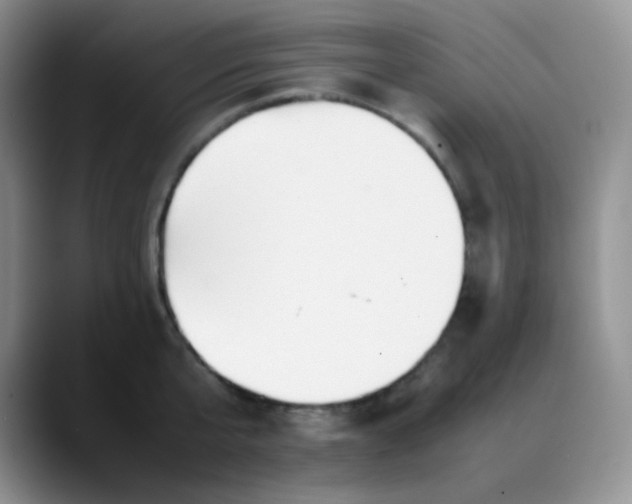 X0000088700807200706141429