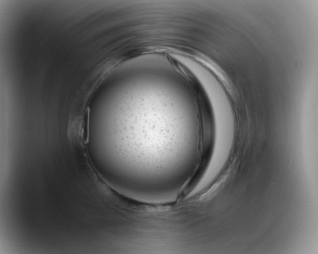 X0000088700809200706141429