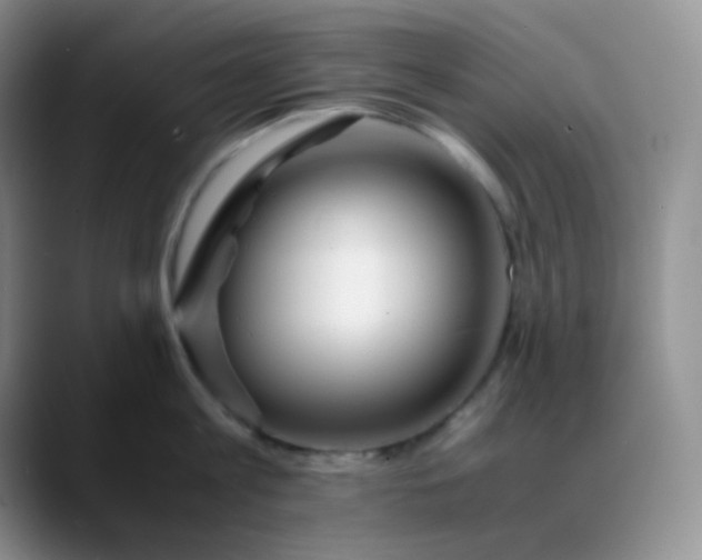 X0000088700813200706141429