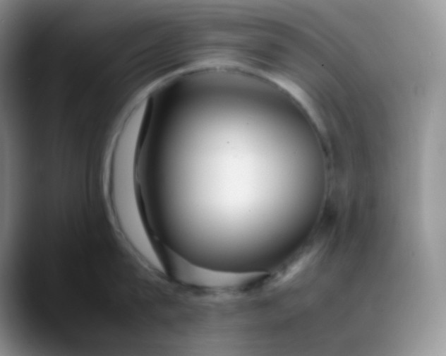 X0000088700815200706141429