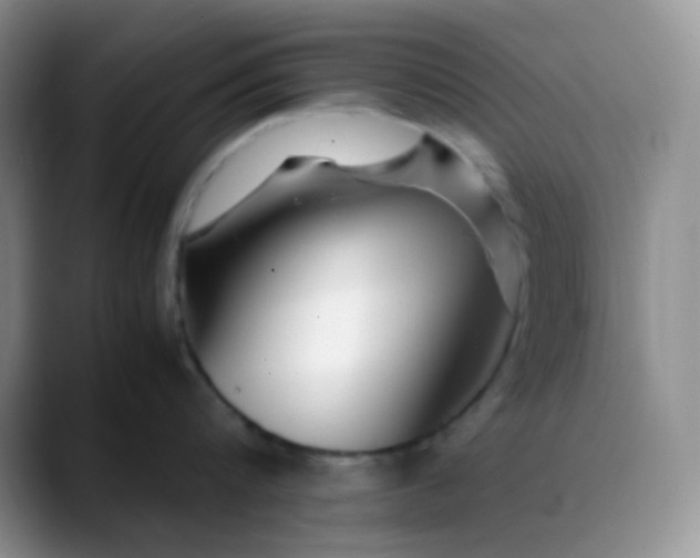 X0000088700816200706141429