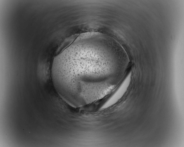 X0000088700818200706141428