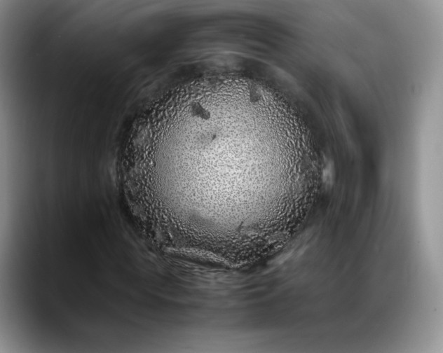 X0000088700819200706141428