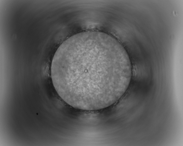 X0000088700820200706141428