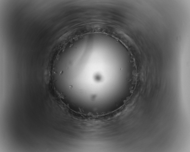 X0000088700821200706141428