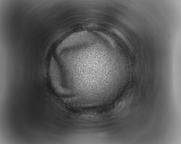 X0000088700823200706141428