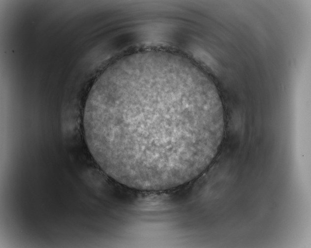 X0000088700824200706141428