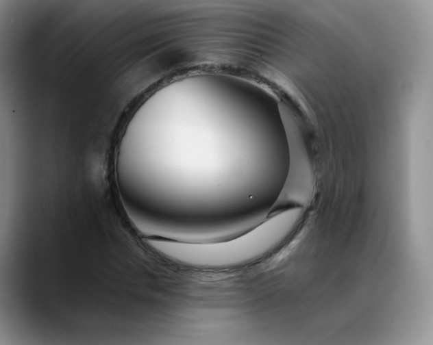 X0000088700826200706141428