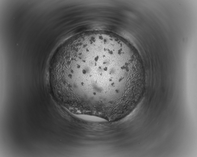 X0000088700827200706141428