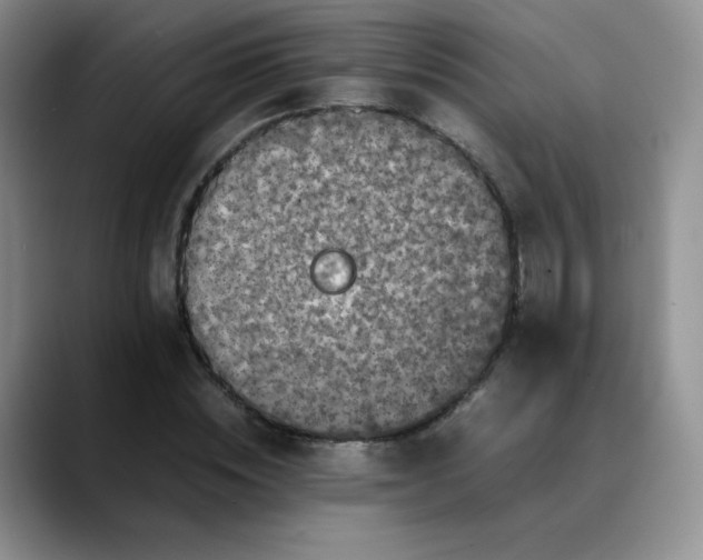 X0000088700828200706141428