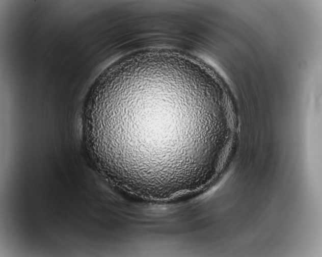 X0000088700829200706141428