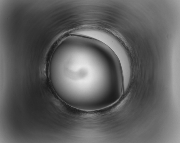 X0000088700830200706141428