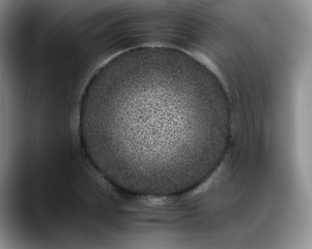 X0000088700831200706141428